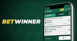 Discover the BetWinner Online Gambling Platform Your Gateway to Exciting Gaming